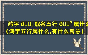 鸿字 🐡 取名五行 🐳 属什么（鸿字五行属什么,有什么寓意）